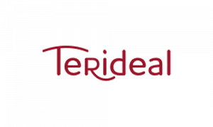 logo terideal